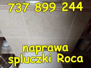 naprawa spluczki Roca