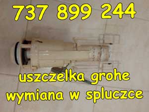 uszczelka grohe wymiana w spluczce